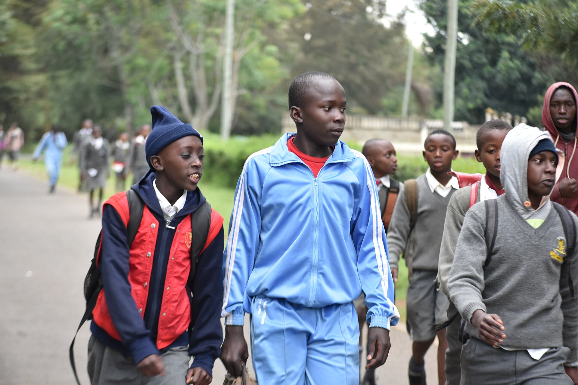 Students in school uniforms walking together along a tree-lined road